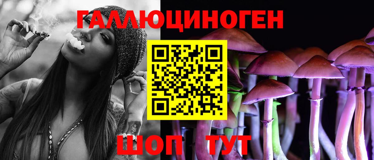 Псилоцибиновые грибы GOLDEN TEACHER  Вход с VPN  Татарск  Псилоцибиновые грибы прущие грибы 