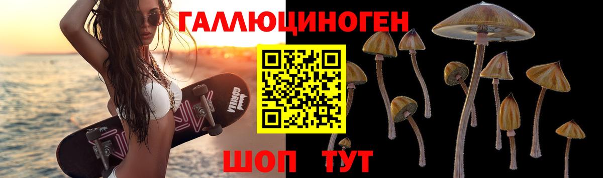 Галлюциногенные грибы GOLDEN TEACHER Татарск